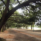 Hermann Park