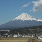 Mt. Fuji