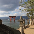 Torii Gates in water